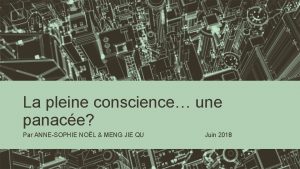 La pleine conscience une panace Par ANNESOPHIE NOL