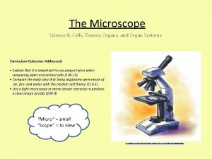 The Microscope Science 8 Cells Tissues Organs and