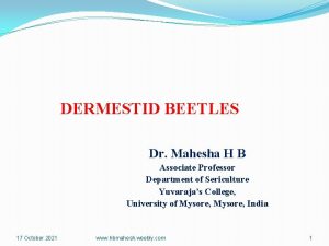 DERMESTID BEETLES Dr Mahesha H B Associate Professor