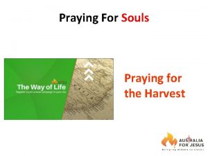 Praying For Souls Praying for the Harvest The