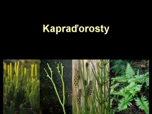 Kapraorosty Evolun vztahy kapraorost vymel skupiny souasn kapraorosty