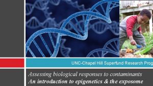 UNCChapel Hill Superfund Research Prog Assessing biological responses