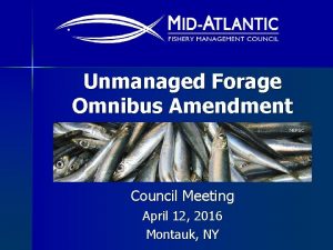 Unmanaged Forage Omnibus Amendment NEFSC Council Meeting April