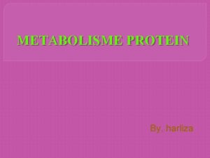 METABOLISME PROTEIN By harliza Protein yang terdapat dalam