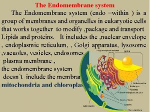 The Endomembrane system endo within is a group