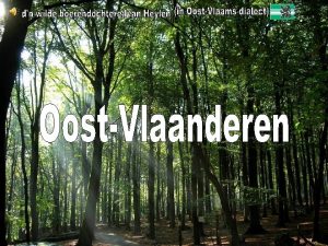 Midden in Vlaanderen Verscholen tussen de sparrebossen Ligt