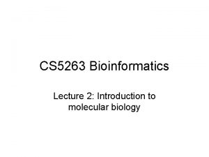 CS 5263 Bioinformatics Lecture 2 Introduction to molecular