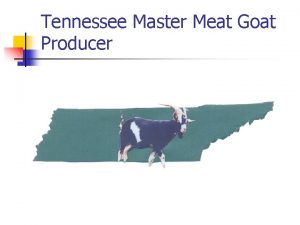 Tennessee Master Meat Goat Producer Business and Financial