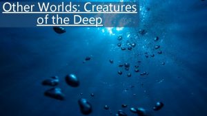 Other Worlds Creatures of the Deep Objectives Develop