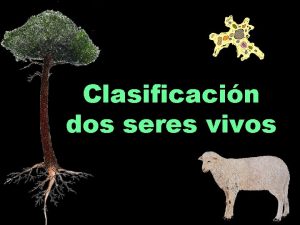 Clasificacin dos seres vivos Cocense 1 75 millns