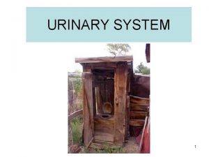 URINARY SYSTEM 1 URINARY SYSTEM AKA EXCRETORY SYSTEM