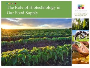 The Role of Biotechnology in Our Food Supply