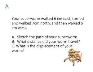 A Your superworm walked 6 cm east turned