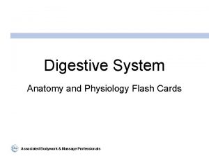 Digestive System Anatomy and Physiology Flash Cards Associated