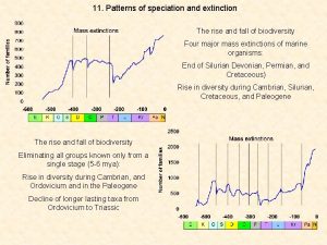 11 Patterns of speciation and extinction The rise