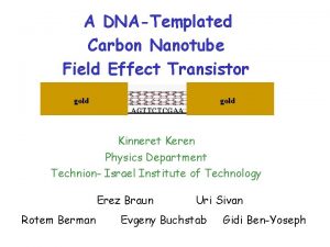 A DNATemplated Carbon Nanotube Field Effect Transistor gold