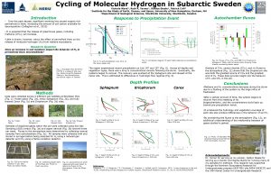 Cycling of Molecular Hydrogen in Subarctic Sweden Victoria
