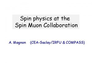 Spin physics at the Spin Muon Collaboration A