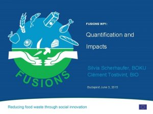 FUSIONS WP 1 Quantification and Impacts Silvia Scherhaufer