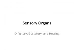 Sensory Organs Olfactory Gustatory and Hearing Senses Sensory