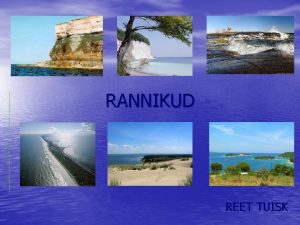 RANNIKUD REET TUISK RANNIKU SKEEM pagurand MISTED RANNIK