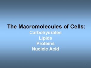 The Macromolecules of Cells Carbohydrates Lipids Proteins Nucleic