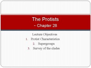 The Protists Chapter 28 Lecture Objectives 1 Protist