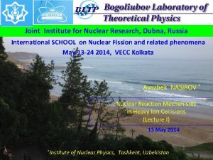 Joint Institute for Nuclear Research Dubna Russia International