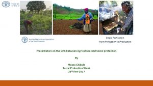 Social Protection From Protection to Production Presentation on