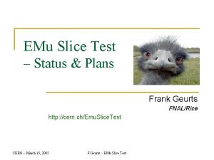 EMu Slice Test Status Plans Frank Geurts FNALRice