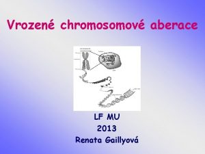 Vrozen chromosomov aberace LF MU 2013 Renata Gaillyov