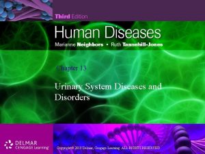 Chapter 13 Urinary System Diseases and Disorders Copyright