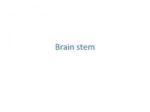 Brain stem Brain stem 1 Medulla oblongata 2