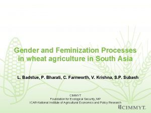 Gender and Feminization Processes in wheat agriculture in