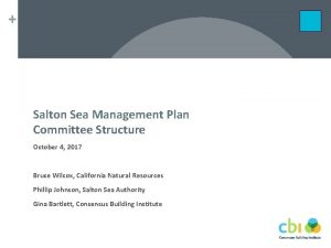 Salton Sea Management Plan Committee Structure October 4