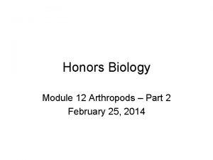 Honors Biology Module 12 Arthropods Part 2 February