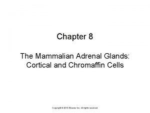 Chapter 8 The Mammalian Adrenal Glands Cortical and