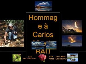 Hommag e Carlos Alberto BAU Souris Allez votre