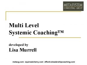 Multi Level Systemic Coaching developed by Lisa Murrell