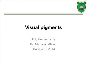 Visual pigments NS Biochemistry Dr Mamoun Ahram Third