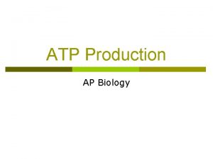 ATP Production AP Biology Overview Life Is Work