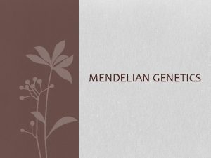 MENDELIAN GENETICS Mendel and His Beloved Peas Garden