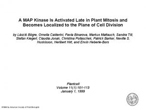 A MAP Kinase Is Activated Late in Plant