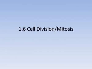 1 6 Cell DivisionMitosis Question Why would a