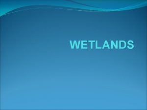 WETLANDS Wetlands as the name suggests are lands