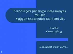 Klnleges pnzgyi intzmnyek MEHIB Magyar Exporthitel Biztost Zrt