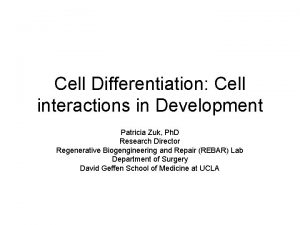 Cell Differentiation Cell interactions in Development Patricia Zuk