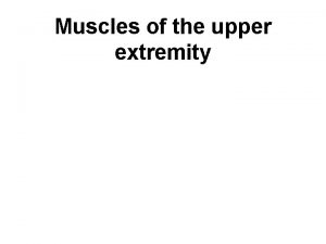 Muscles of the upper extremity Musculi humeri Musculus