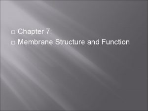 Chapter 7 Membrane Structure and Function Plasma Membrane