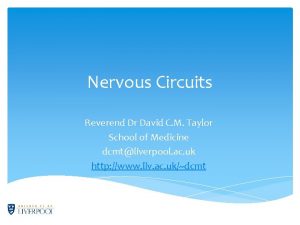 Nervous Circuits Reverend Dr David C M Taylor